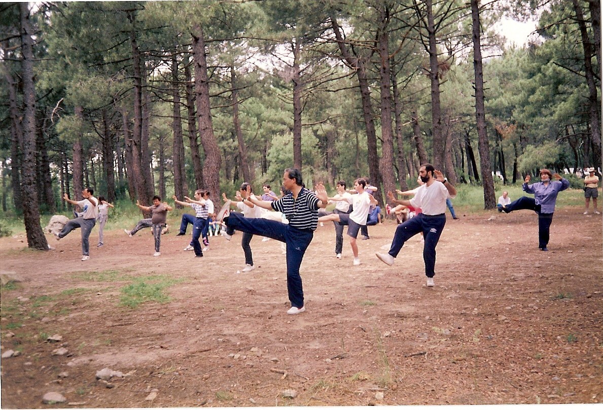 Práctica en el bosque realizando la forma