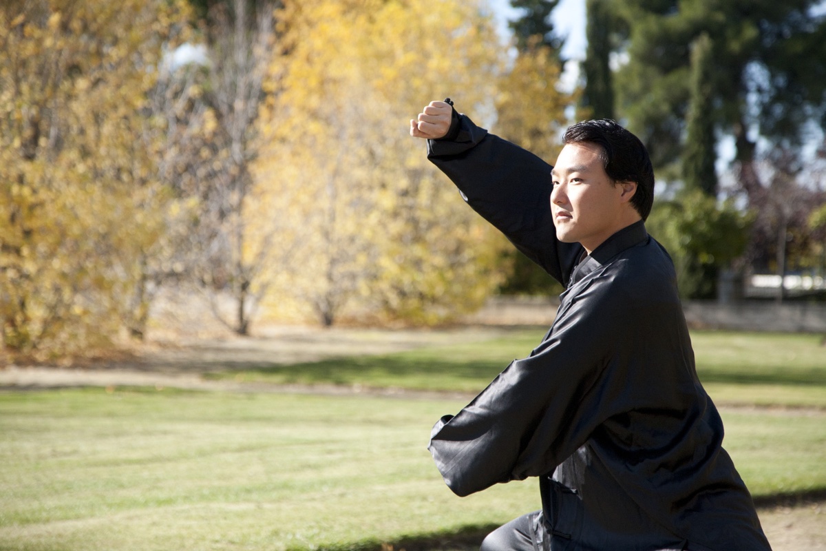 Maestro Xioda Liu — postura Tigre